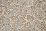 Nourtex Carpets By Nourison
Stone Perspective